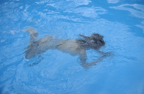 水中 ポルノ 写真