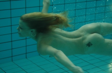 creampie interracial linda nua arquivo