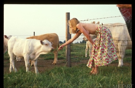 farm porn picture
