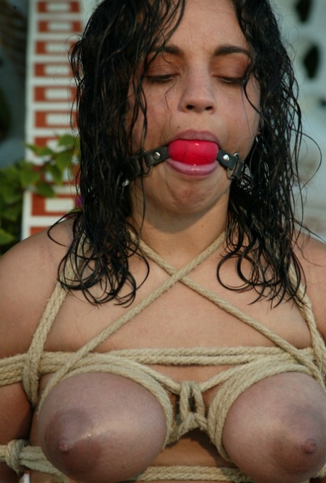 bbw bondage hete porno afb