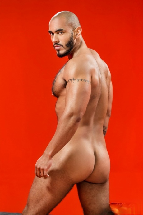 músculo gay adulto xxx arquivo