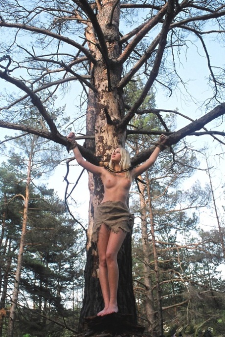 blonde bdsm art porn image
