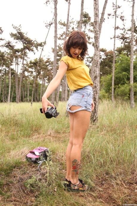 floresta nu pornográfico imagens