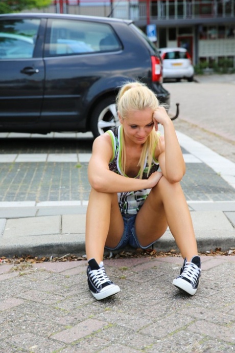 hollandsk gratis varmt img