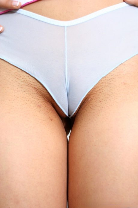 mutandine cammello bel sesso immagine