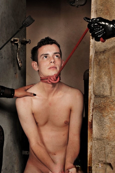 travesti bdsm hd xxx galerias