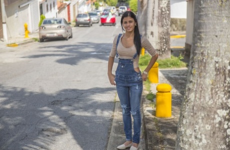 Venezuela perfecto imagen