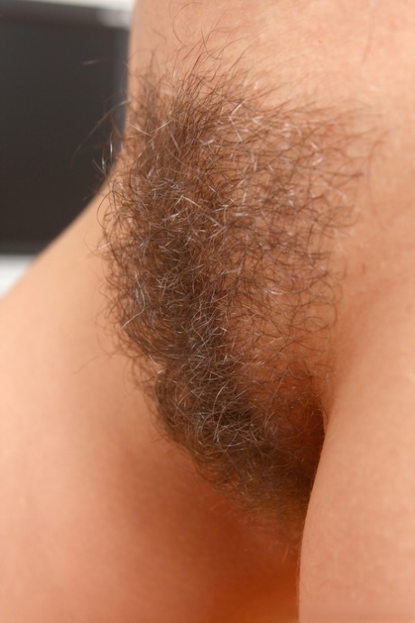 peludo de cerca hd bonita galerías