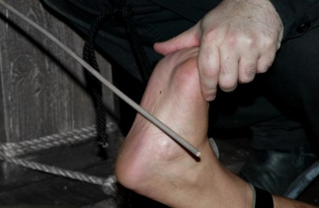 pantalones cortos ajustados mejor caliente recopilación