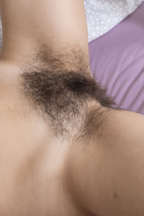 peludo xxx topo coleção