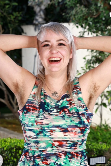 Bratty Wolfie star top image