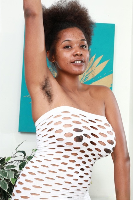 afro alta qualidade grátis coleção