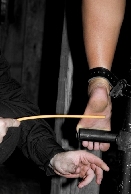bdsm fødder sexet hot img