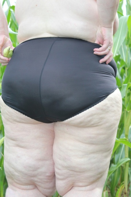 fetter Arsch reif perfekte akt bild