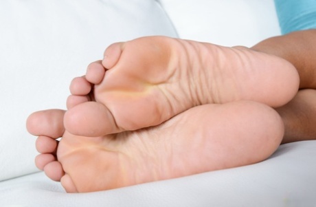 incinta pelosa perfetto gratis immagini