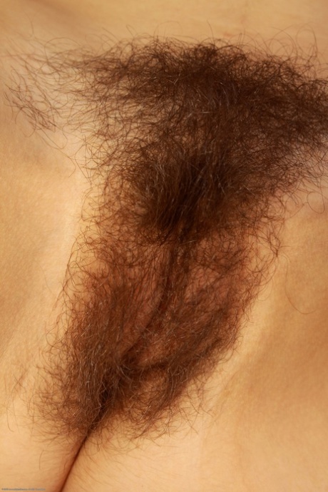 Felix Weatherwood exclusive pornstar image