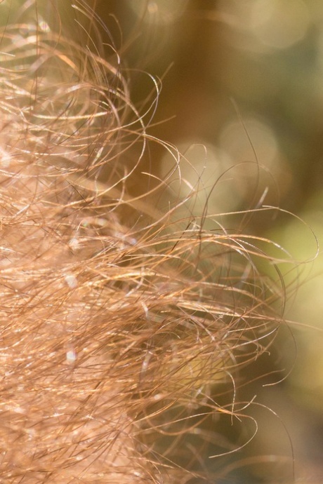 figa pelosa di Giovane nudo carino collezione
