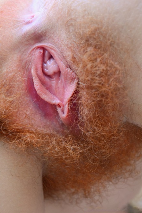 lindo peludo muito pornográfico galeria