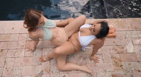 biquíni peludo legal perfeito imagens