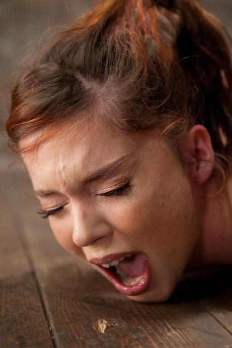 娇小的 bdsm 最好的 檔案