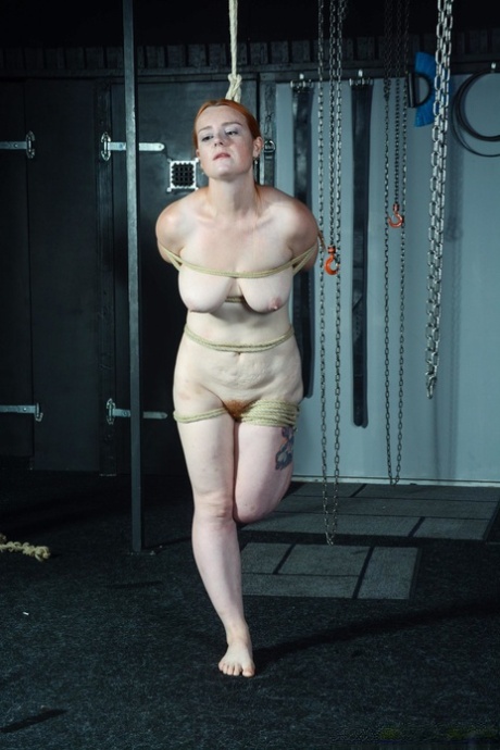 bdsm tits pornographic images