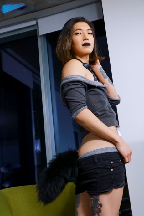 Ladyboy Bonus star free images