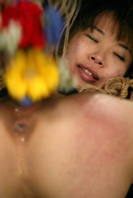 japansk bdsm gratis bilde