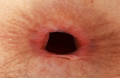 ânus exclusivo pornográfico imagem