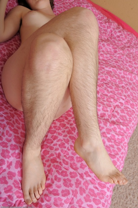 pale hairy free images