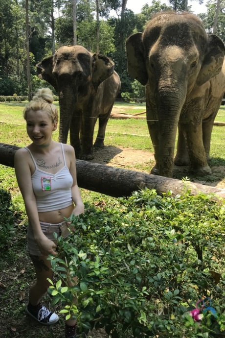 vakantie gratis naakt foto's