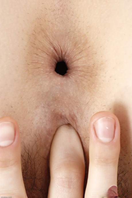 asshole close up sexy nudes images