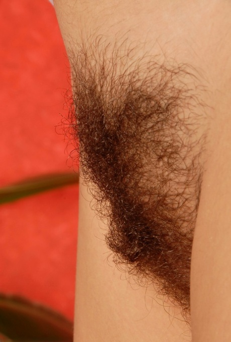 teen pussy adult picture