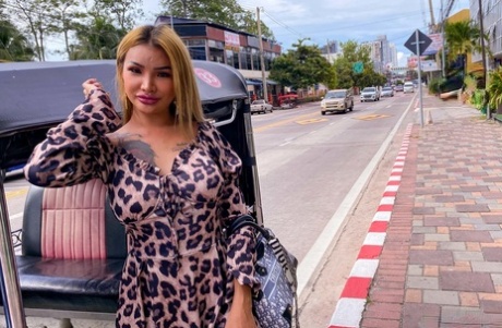 asiatisk synspunkt smuk eksklusiv billeder