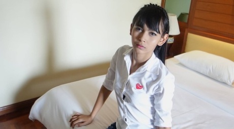 lille ladyboy høj kvalitet perfekt galleri