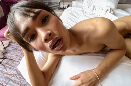 ladyboy sæd bedste xxx billeder