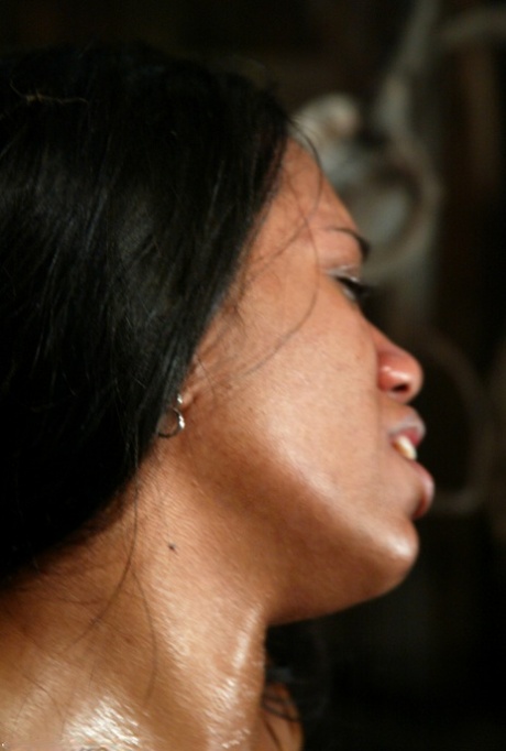 femme potelée nus de haute qualité galeries