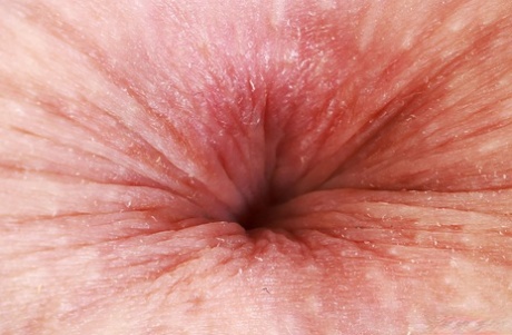 rövhål närbild sexig erotik foton