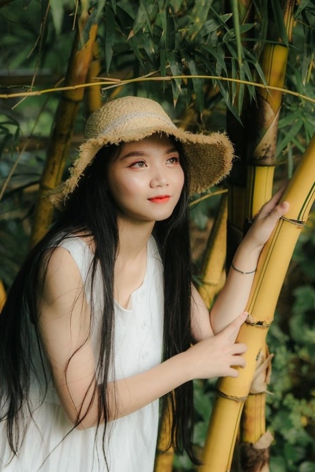 asiatico solista caldo gratuito archivio