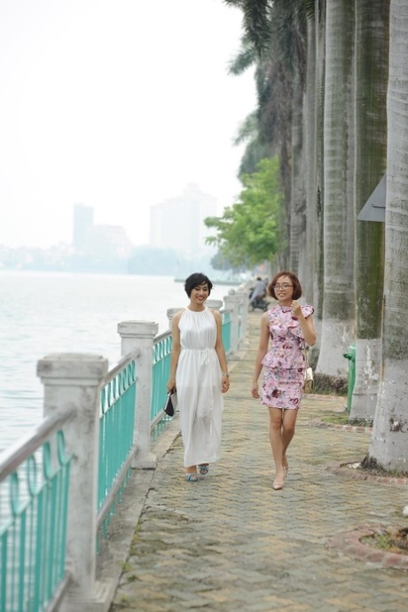 asian public adult img