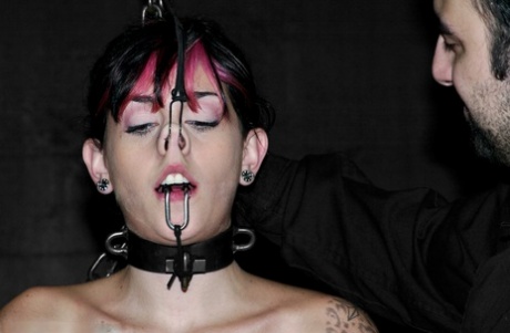 hubený bdsm porno zdarma archiv