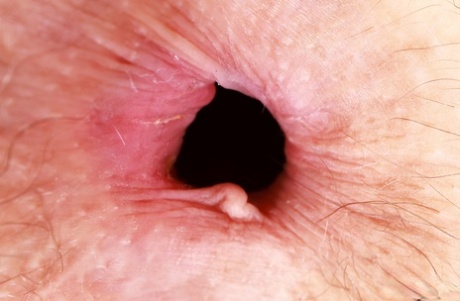 primo piano del buco del culo eroticoxxx immagine