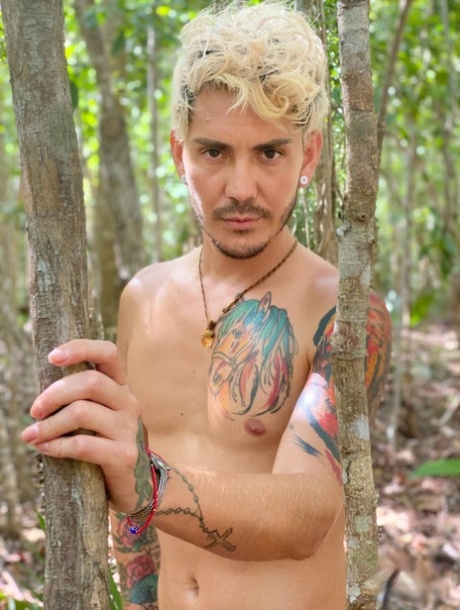gay outdoor pornographic pic