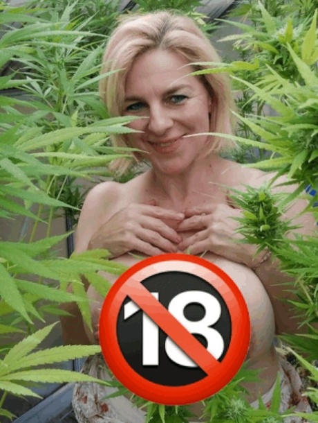las porno wysokiej jakości galeria