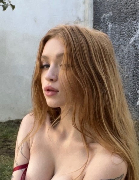 viso superiore libero foto