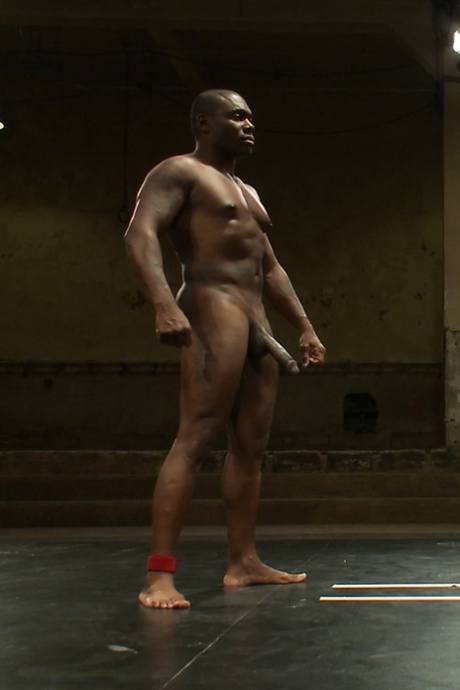 gay della BBC adulto gratuito fotografie