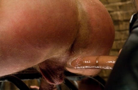 gay asshole pornos images