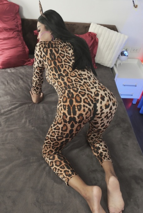 ladyboy feet free images