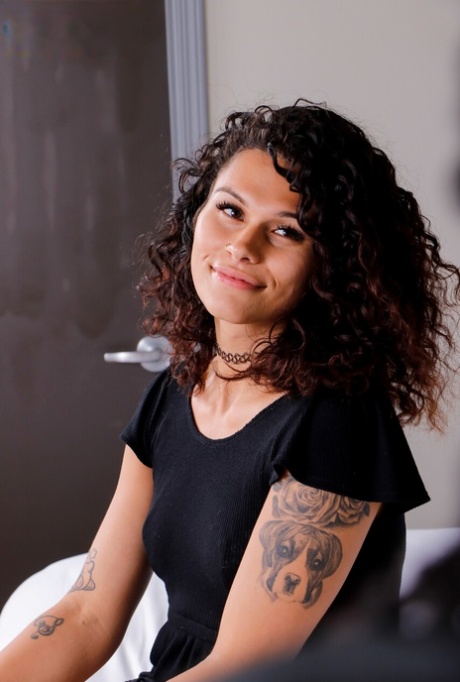 travesti interracial erótico pornográfico coleção