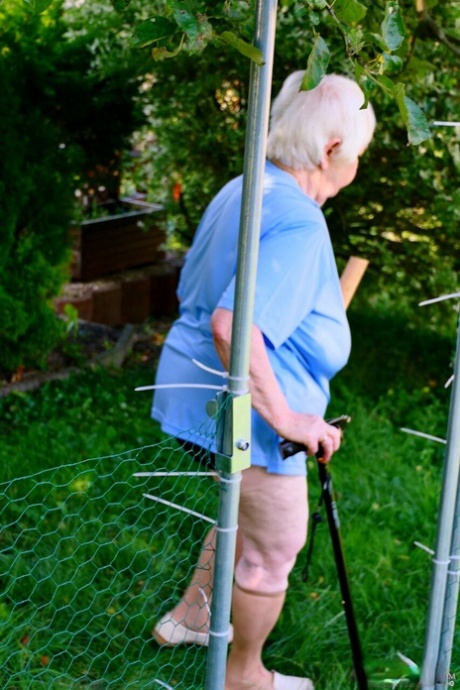 bedstemor over 70 eksklusiv perfekt billede