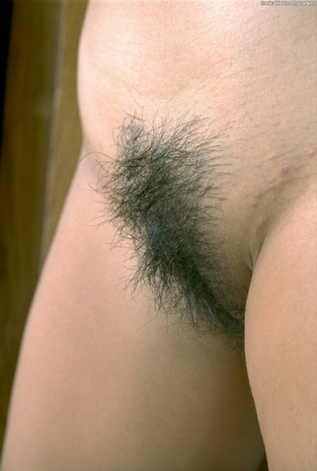 hairy asian pussy hd galleries